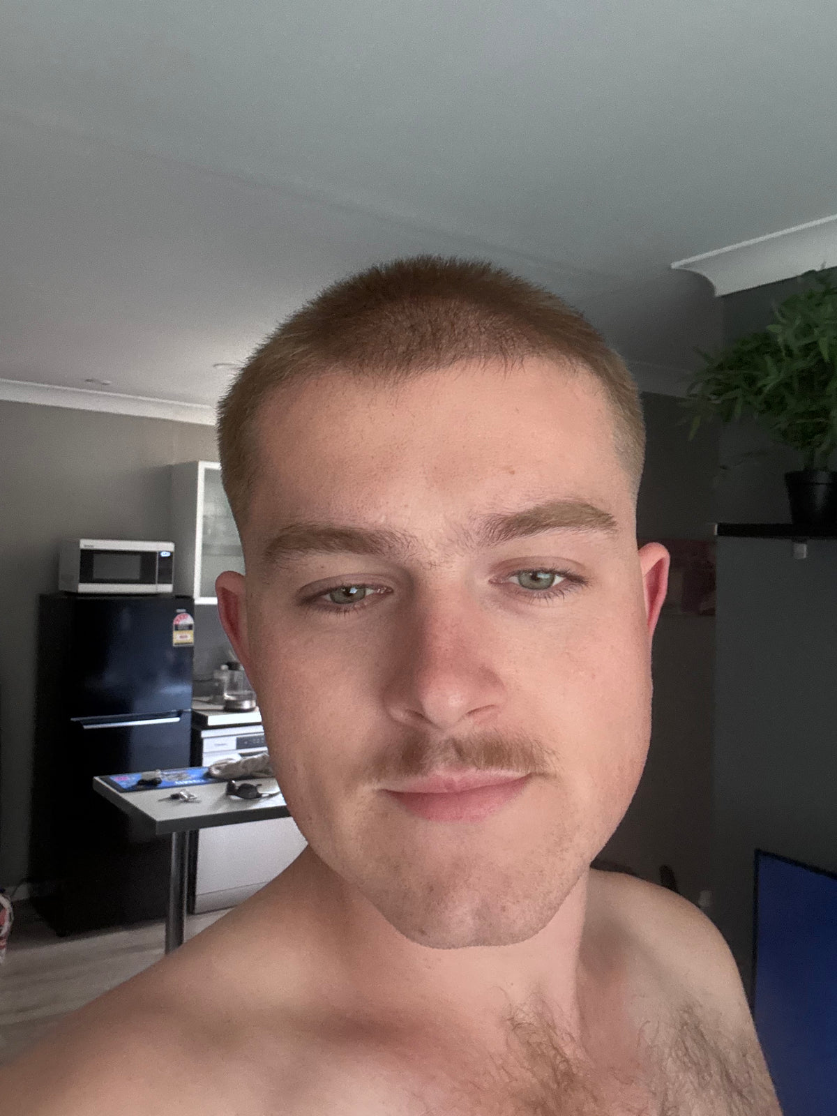image comparison before